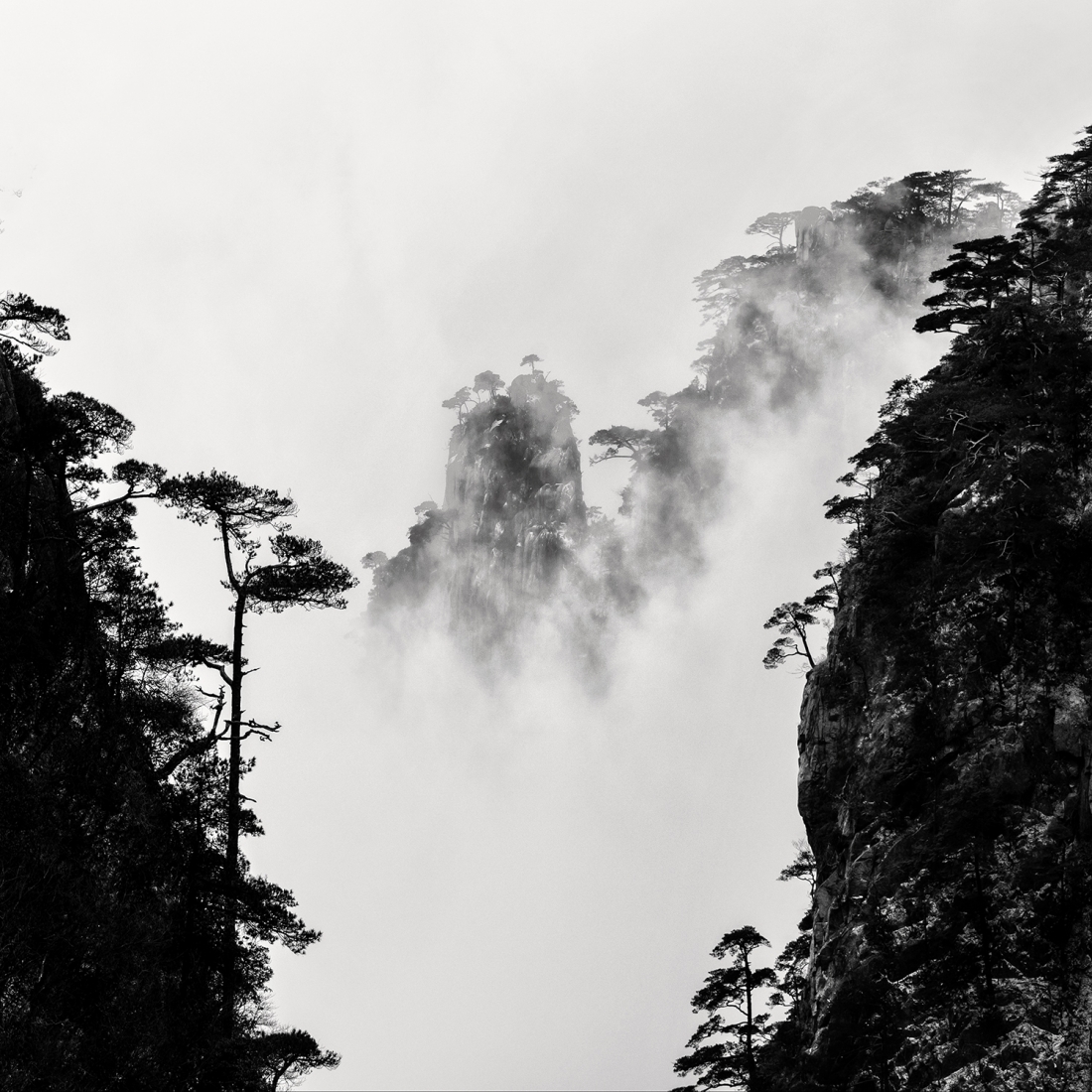 Mystic Mountain