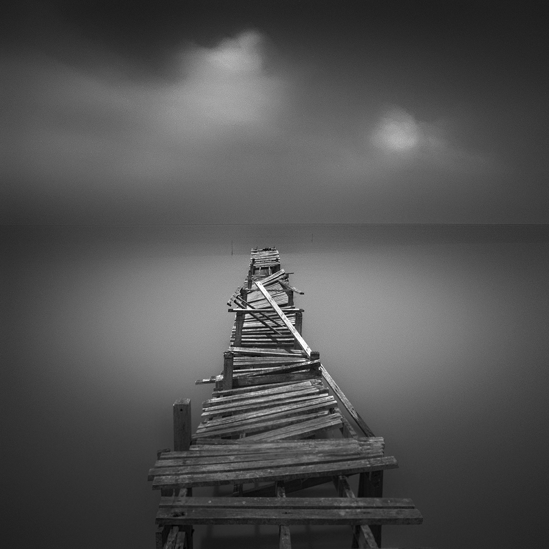 Roller Coaster