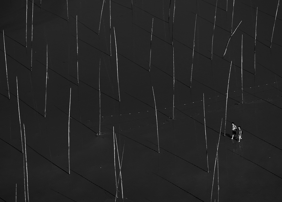 Stroll