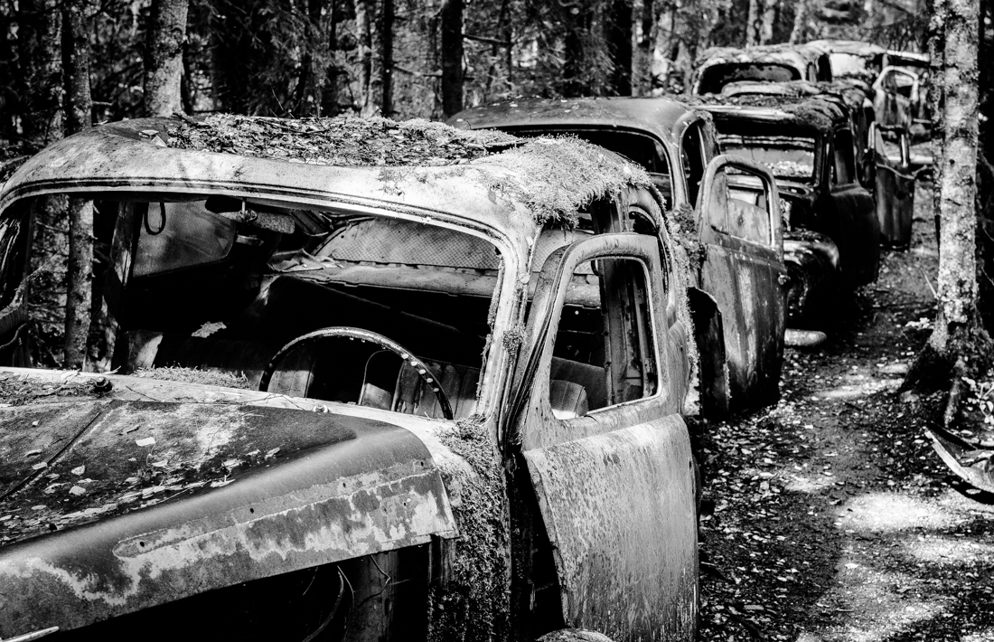 Lost-Car-Forest 