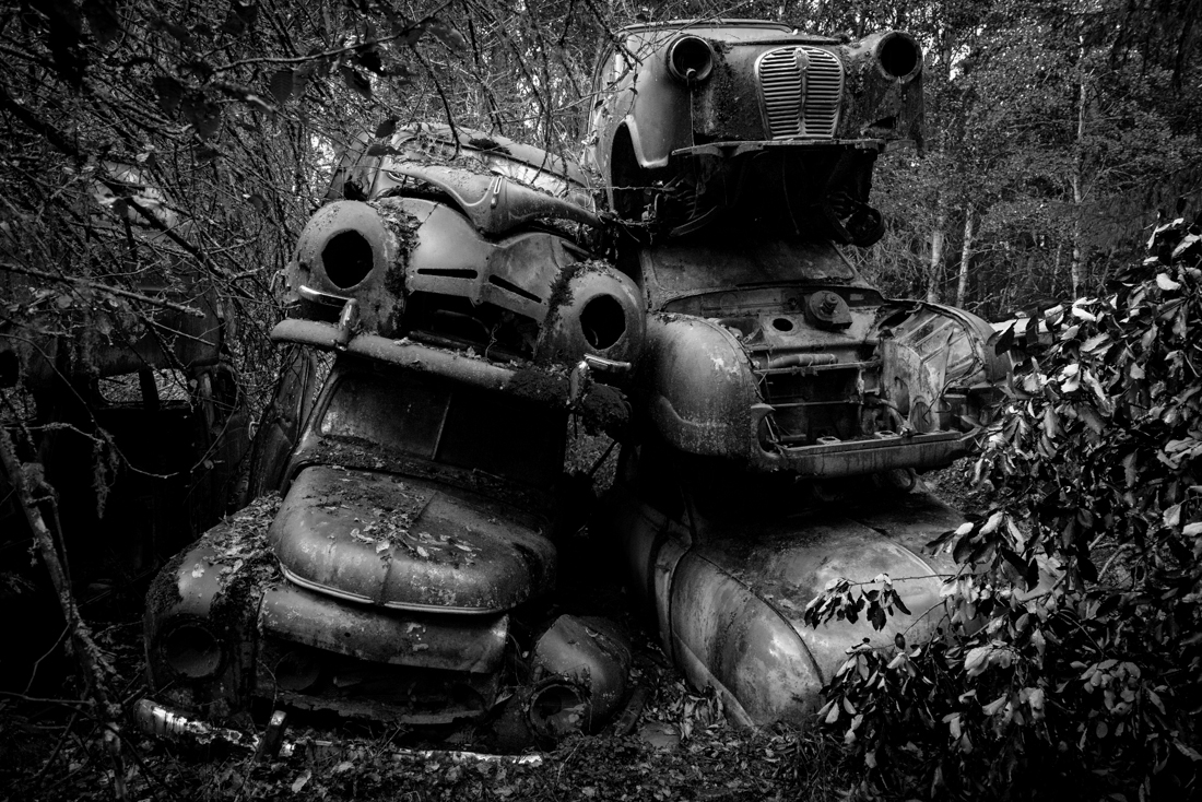 Lost-Car-Forest 