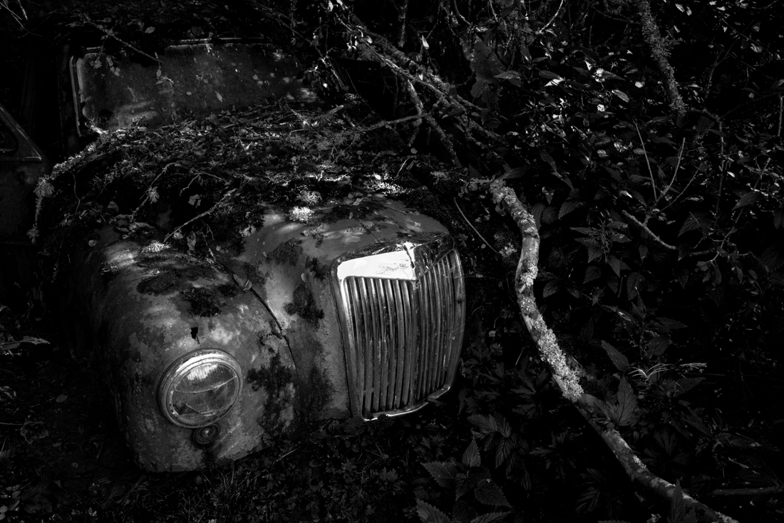 Lost-Car-Forest 