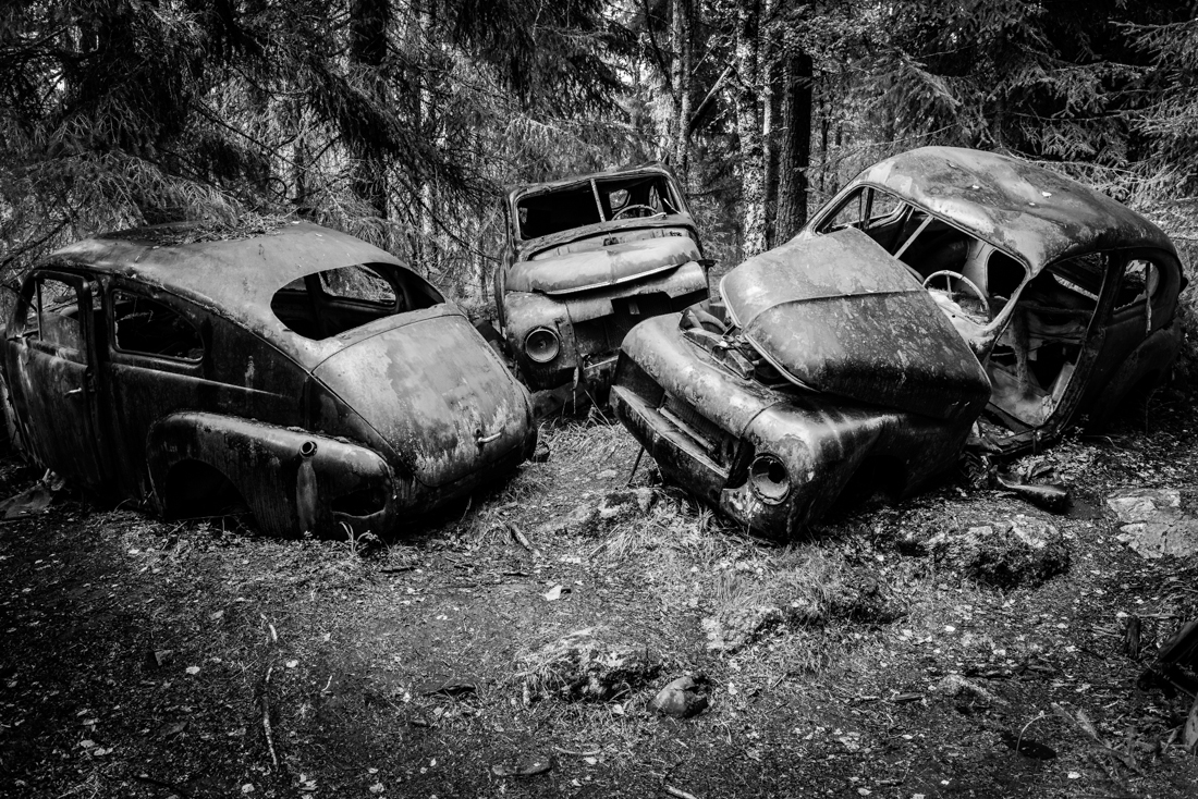 Lost-Car-Forest 