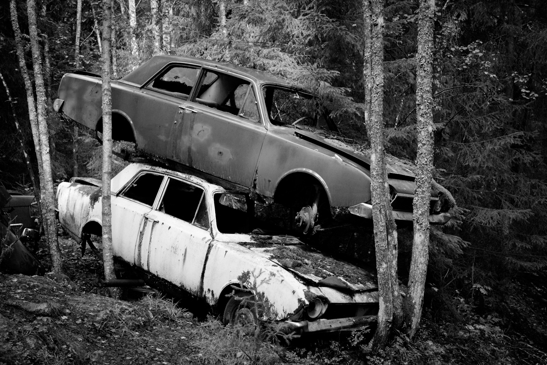 Lost-Car-Forest 