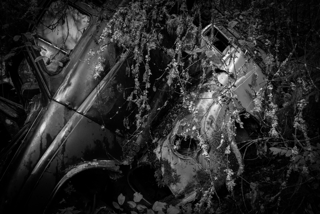 Lost-Car-Forest 