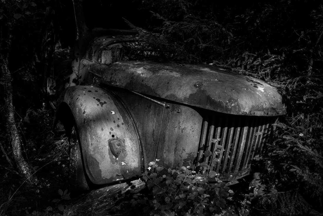 Lost-Car-Forest 