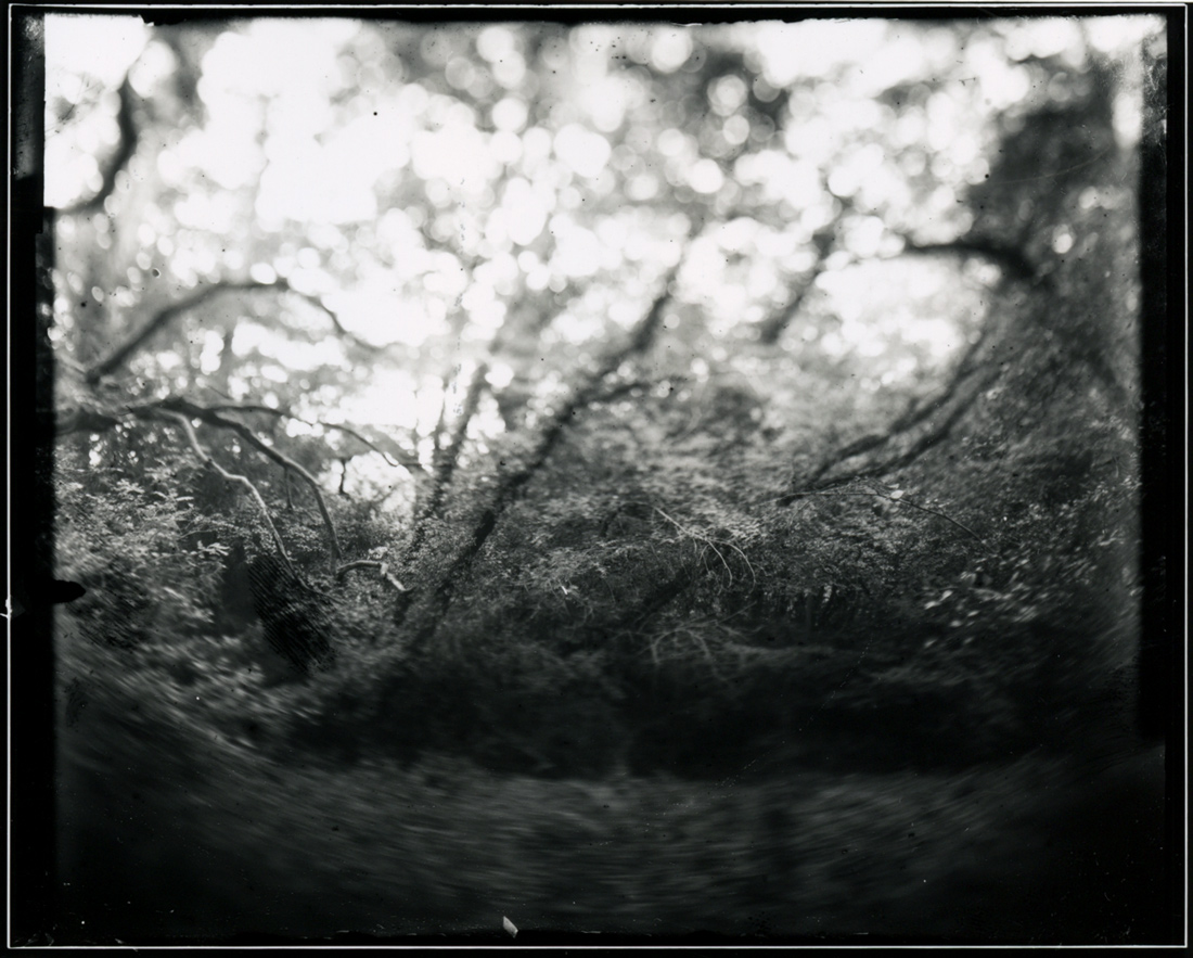 Lost Heritage