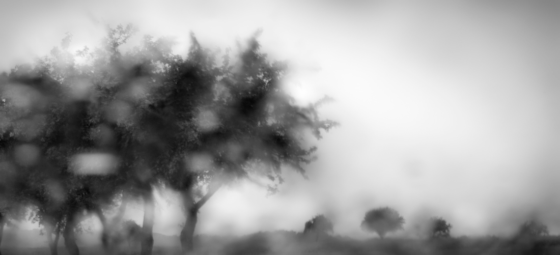Beautiful rainy day