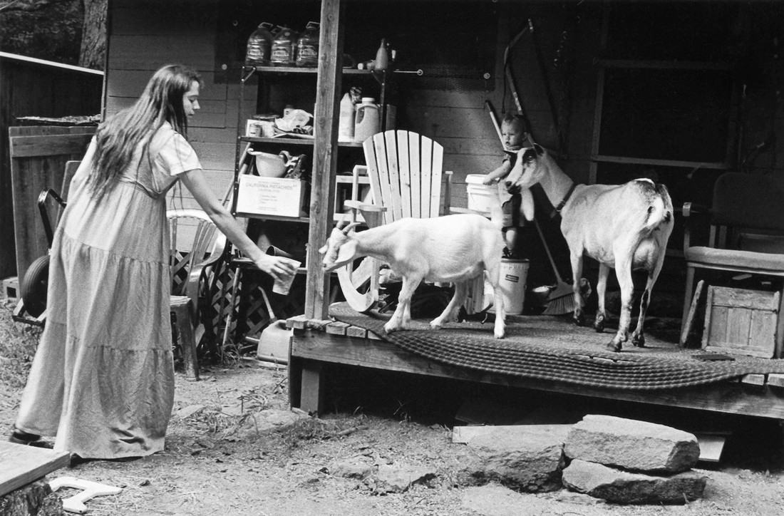 Life in the Ozarks: An Arkansas Portrait