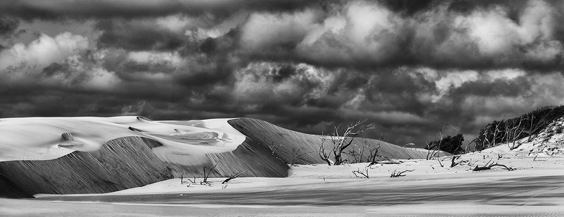 Sand blows of Fraser Island