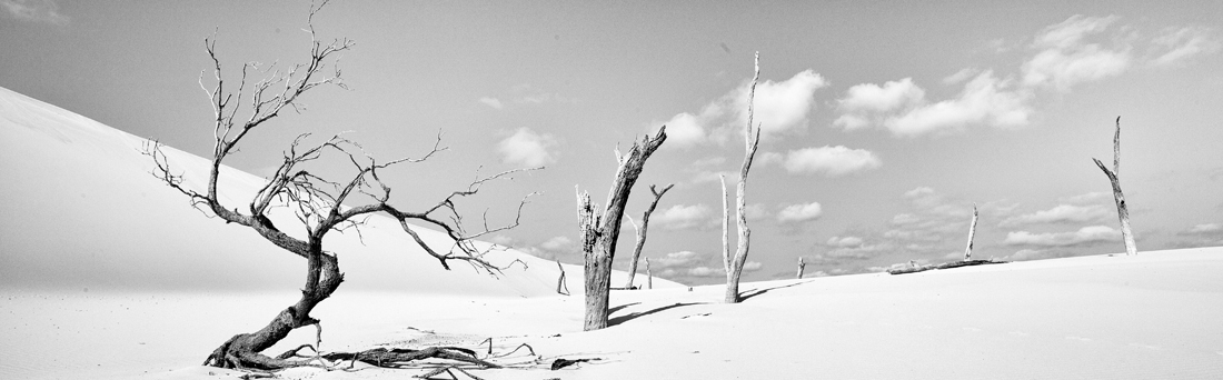 Sand blows of Fraser Island