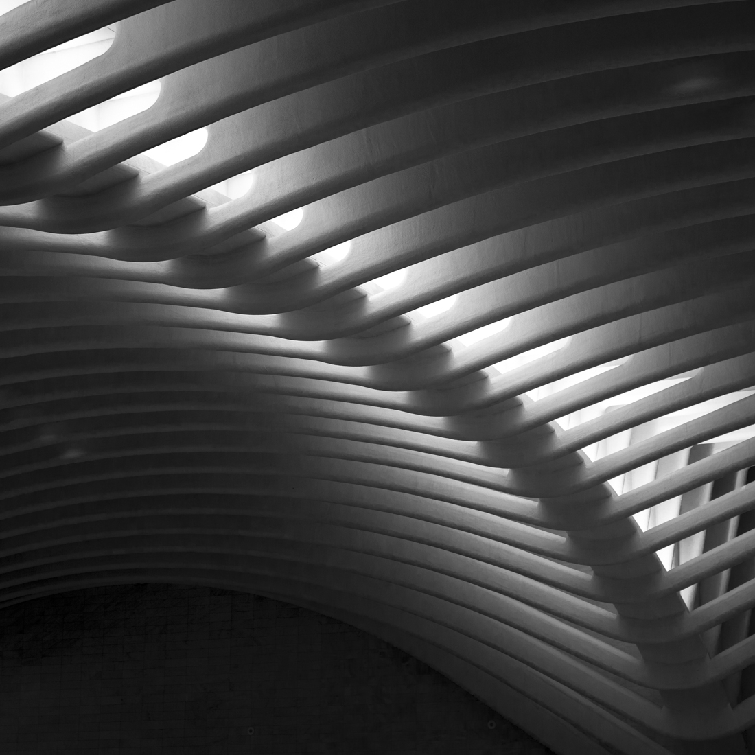 The Oculus
