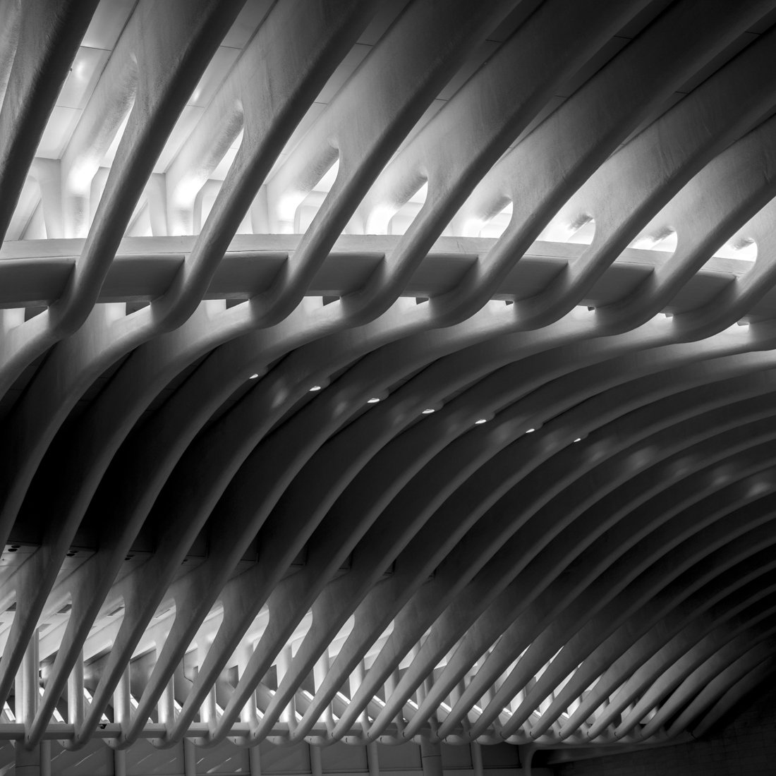 The Oculus