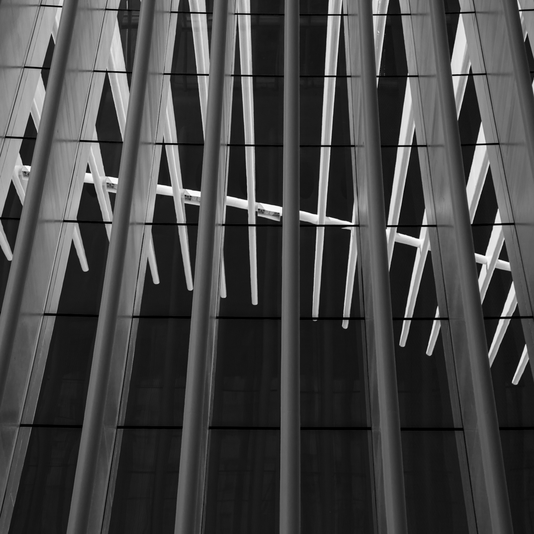 The Oculus