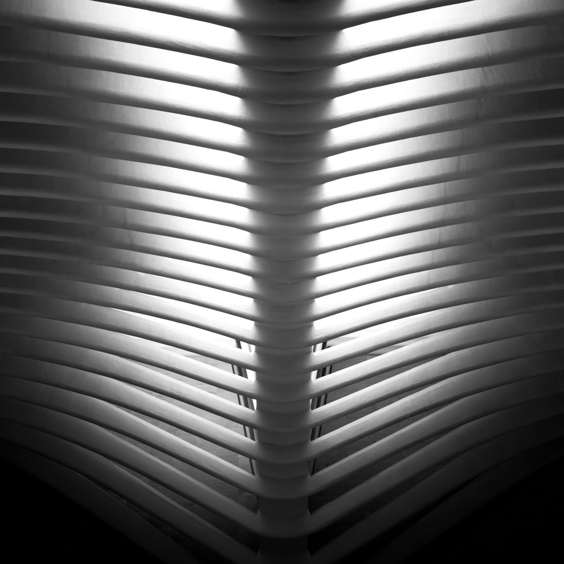 The Oculus