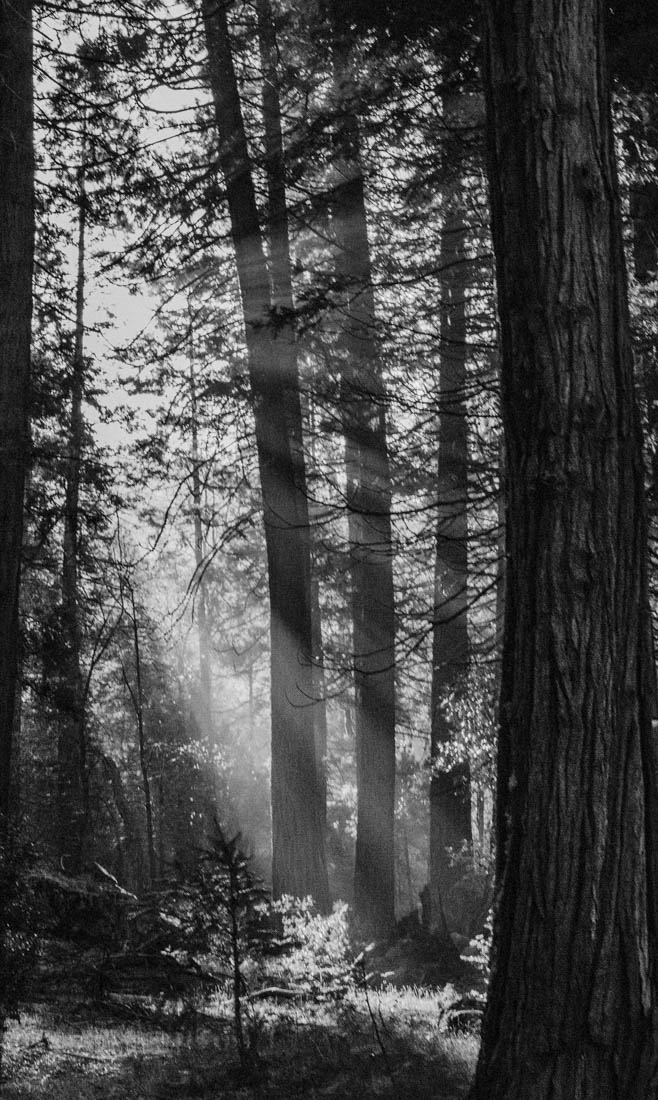 Yosemite Valley