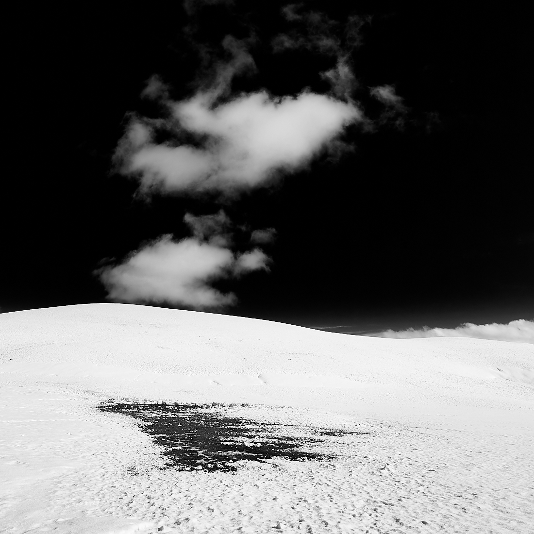 Black and White