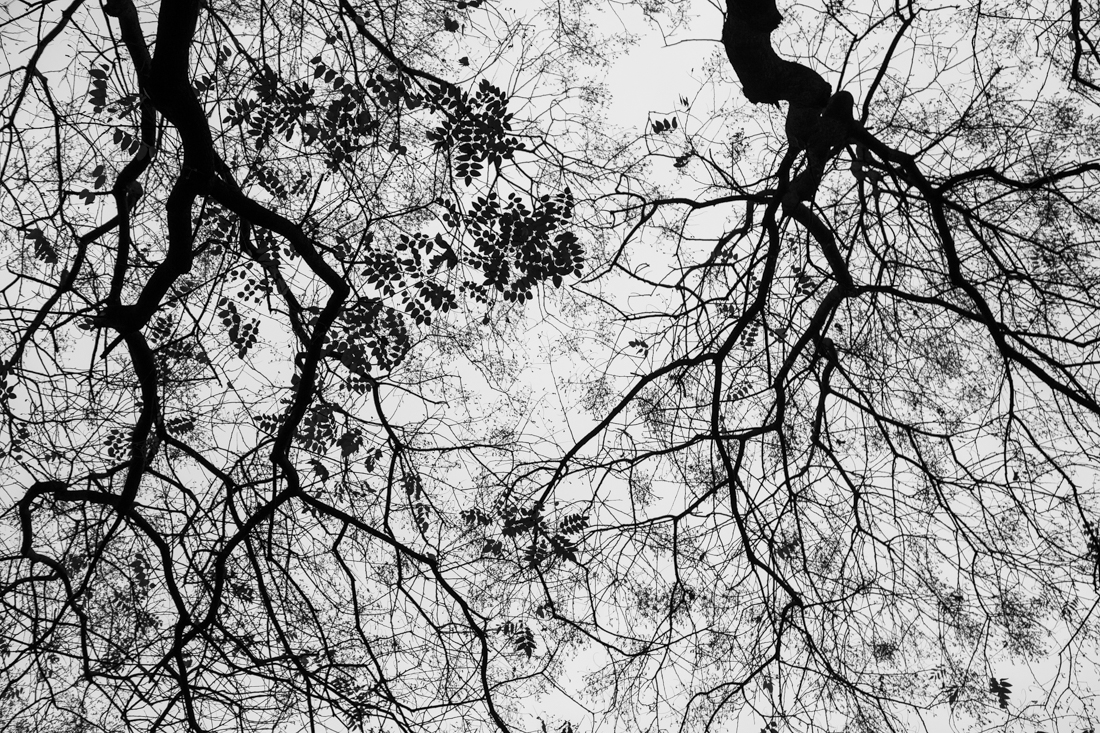 encuentros