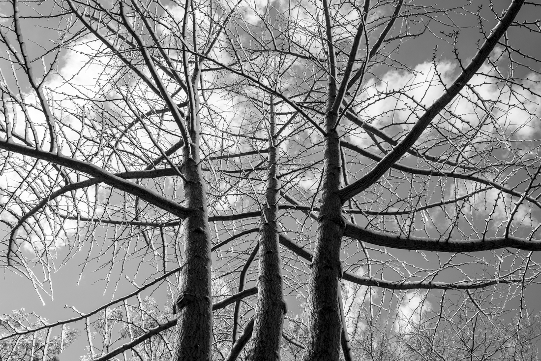 encuentros