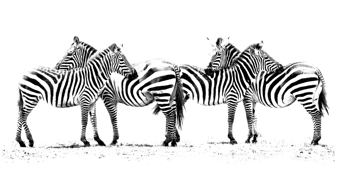 Fun with Stripes