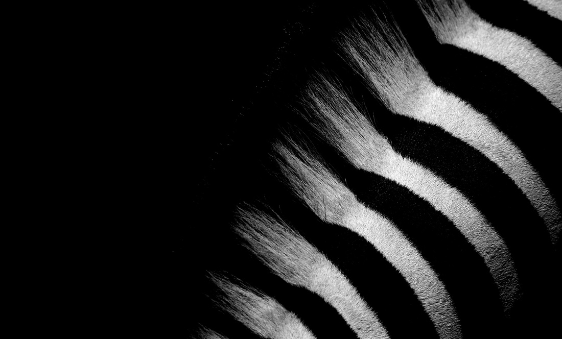 Fun with Stripes