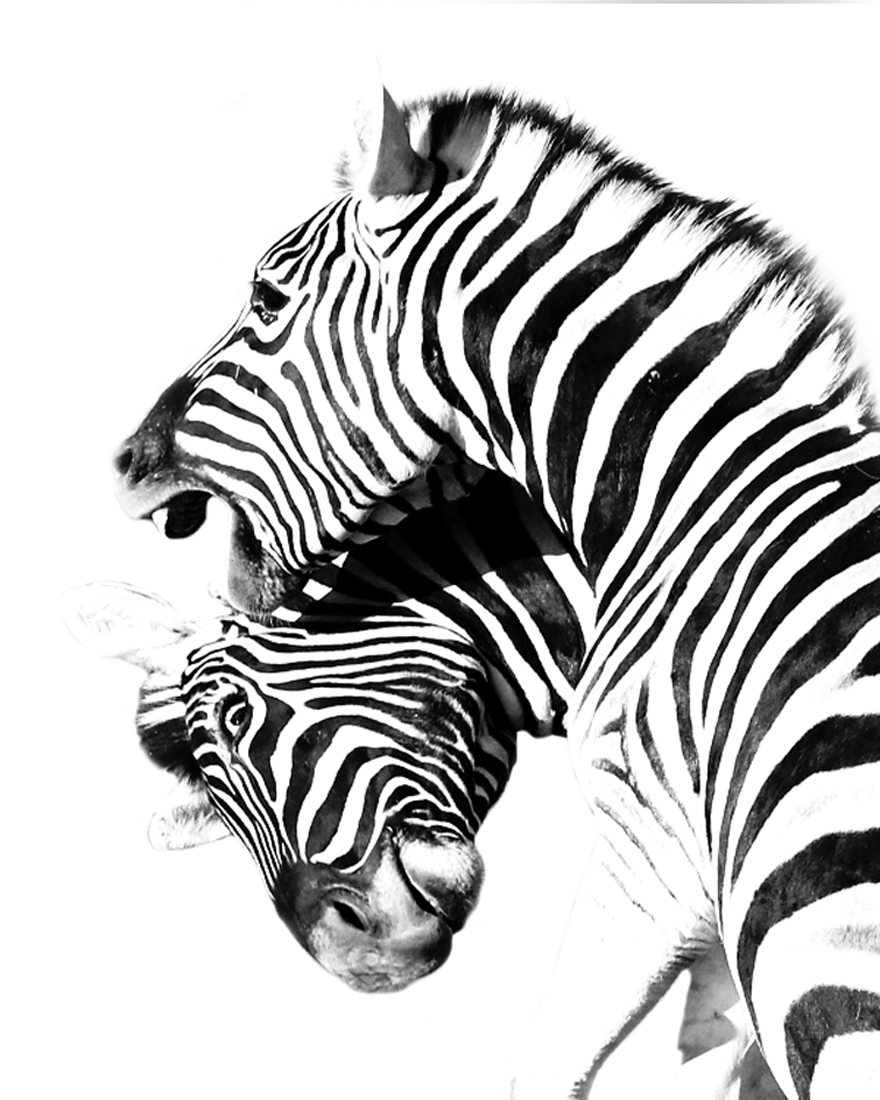 Fun with Stripes