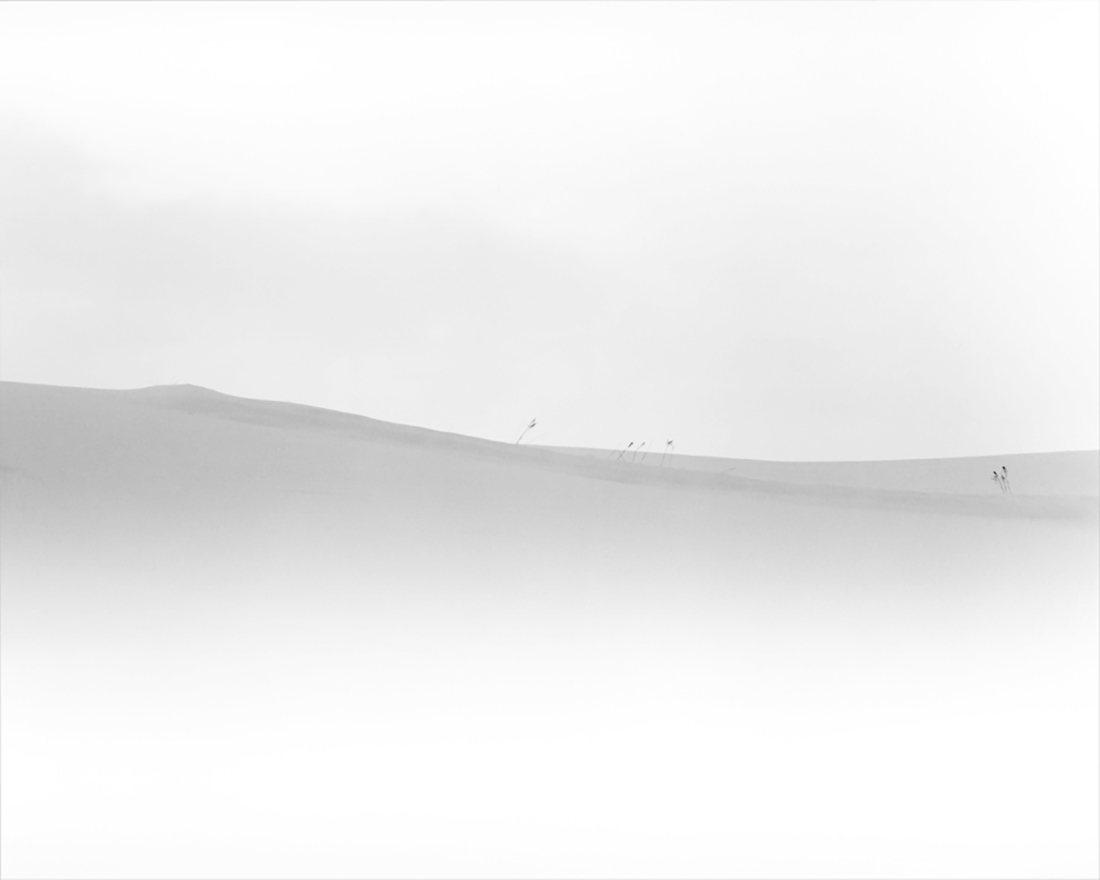 Land of Tranquility