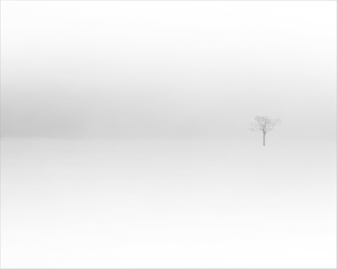 Land of Tranquility