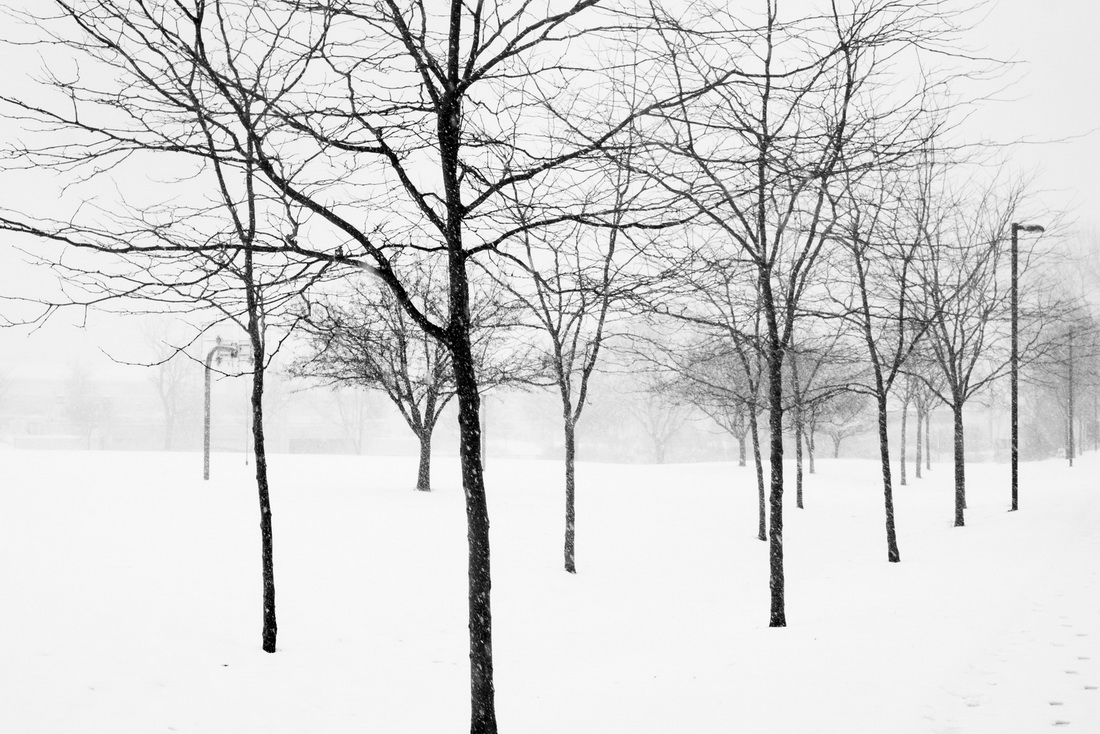 Midwest