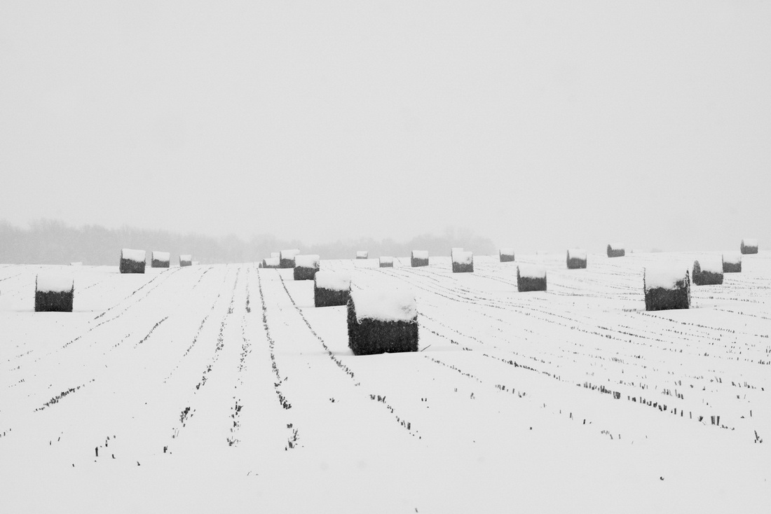 Midwest