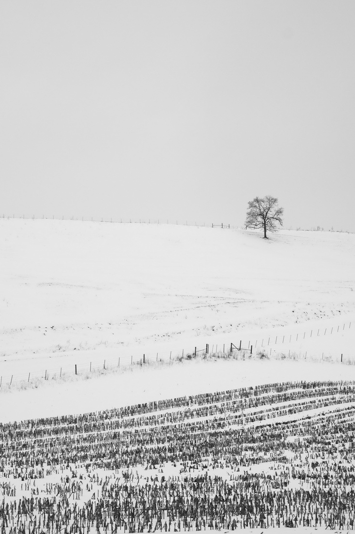 Midwest