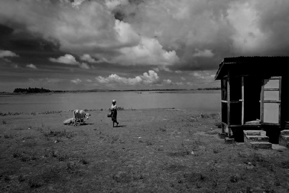 Who will save the Rohingya?
