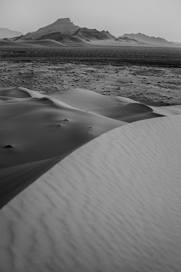 SHADOWS OF SILENCE