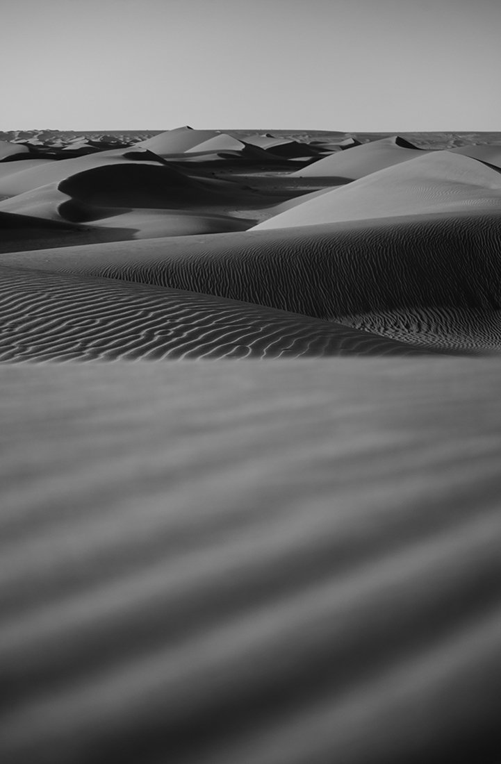 SHADOWS OF SILENCE