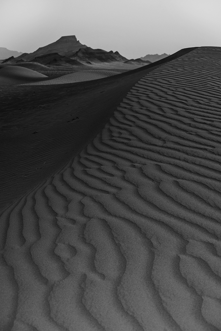 SHADOWS OF SILENCE