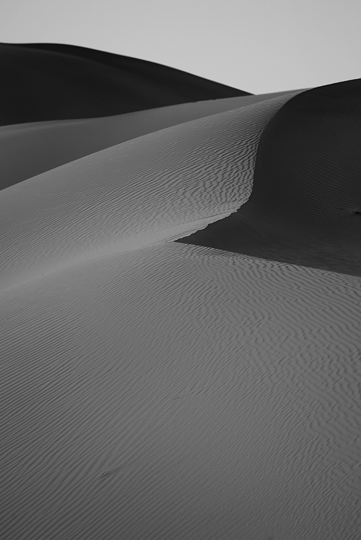 SHADOWS OF SILENCE