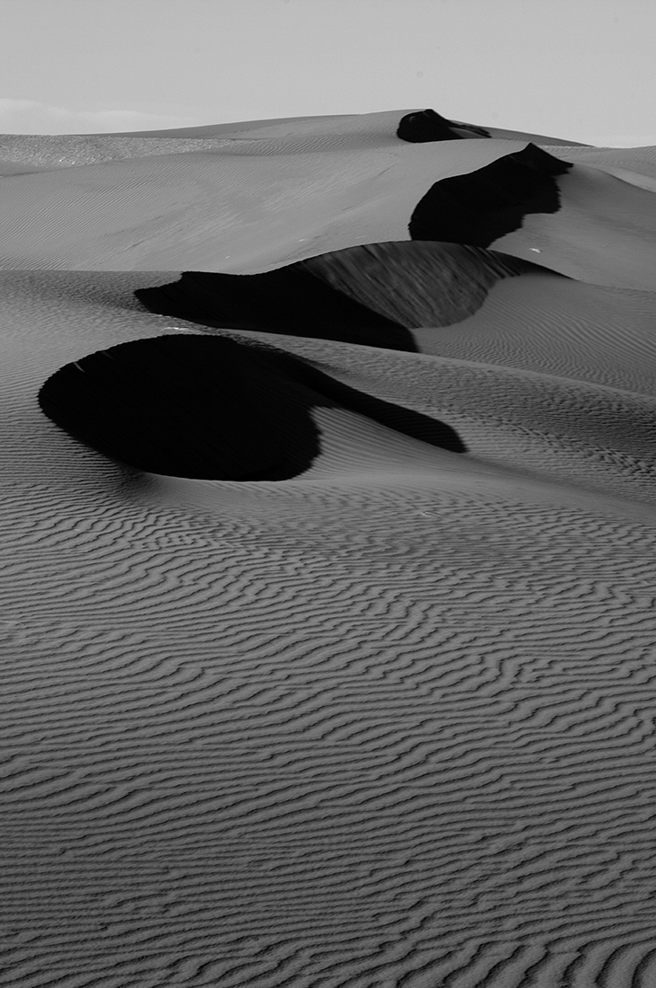 SHADOWS OF SILENCE