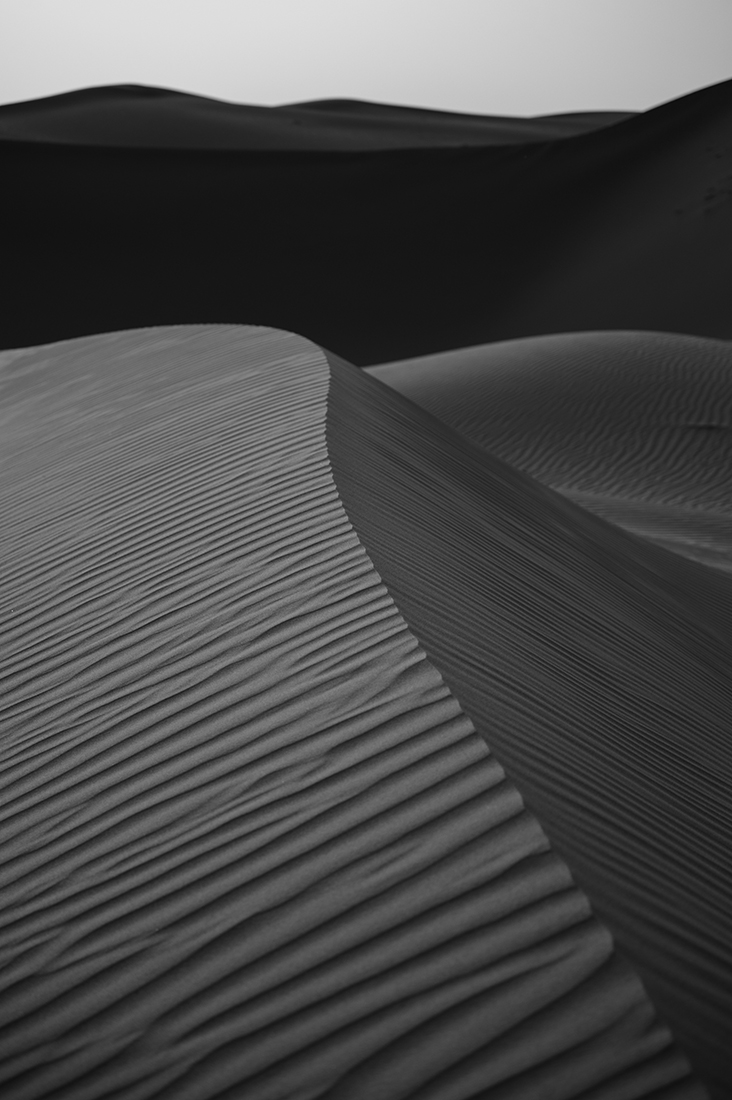 SHADOWS OF SILENCE