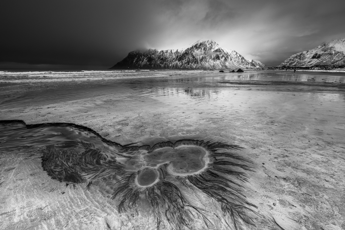 Arctic patterns