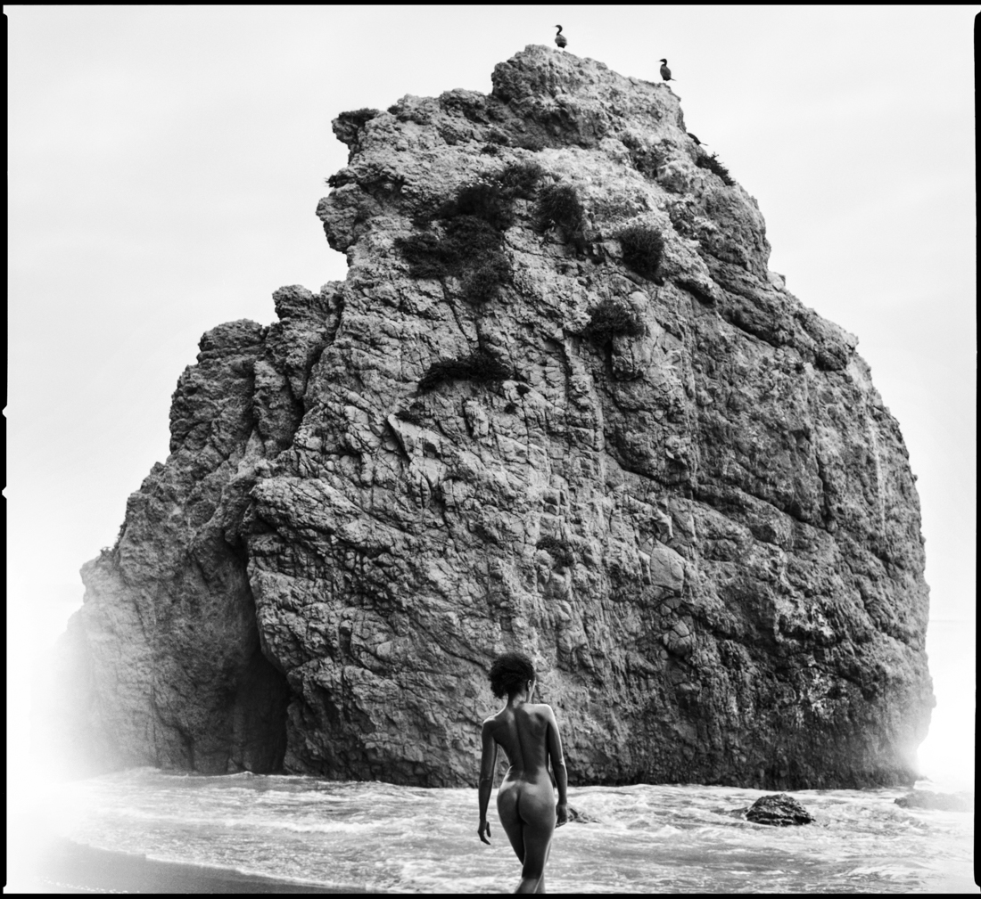SALT + SEA