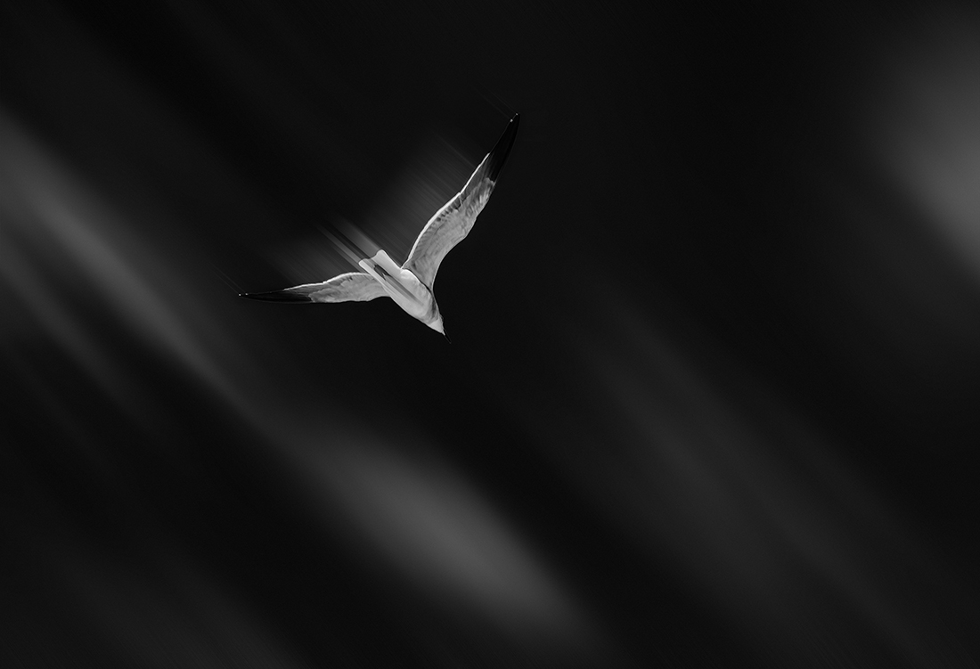 one object	