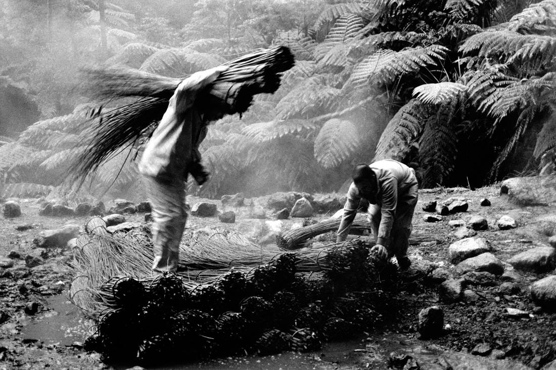 Boiling the wicker