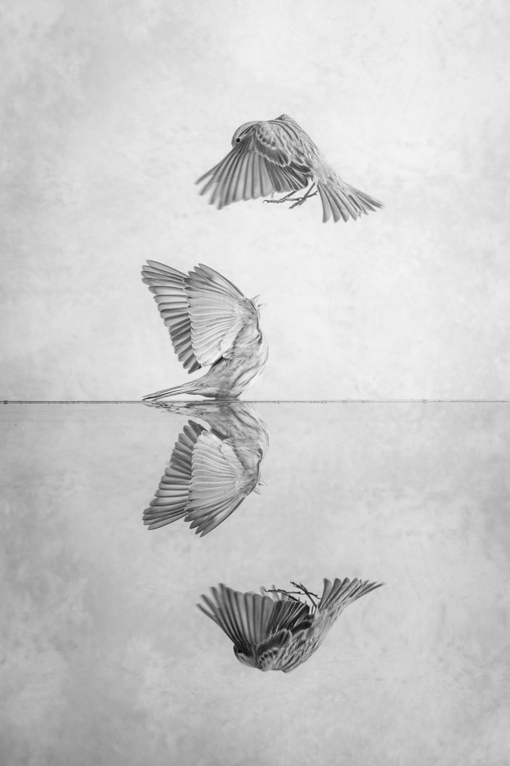 Conversations