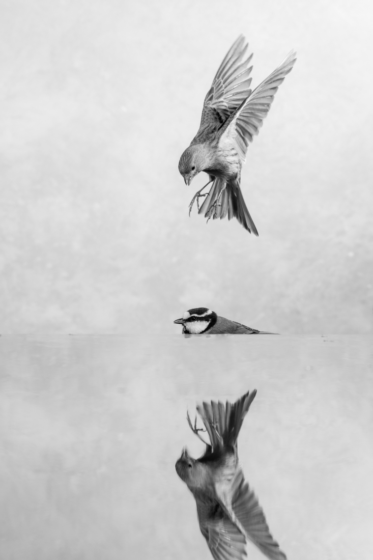 Conversations