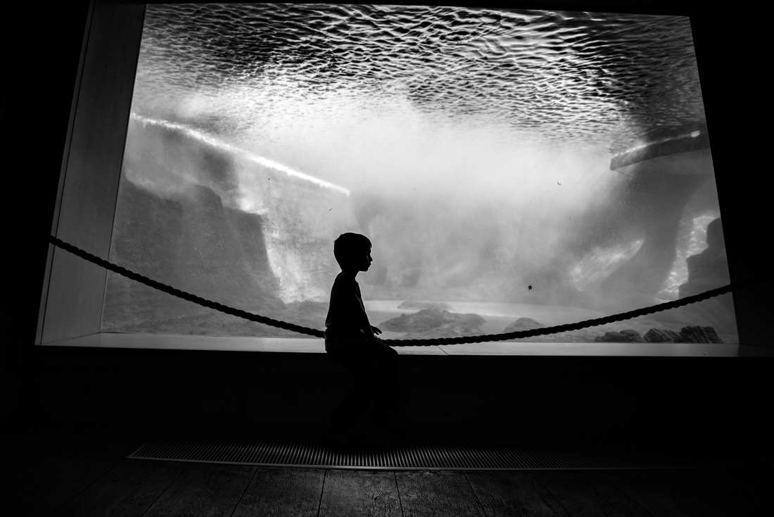Child Inside