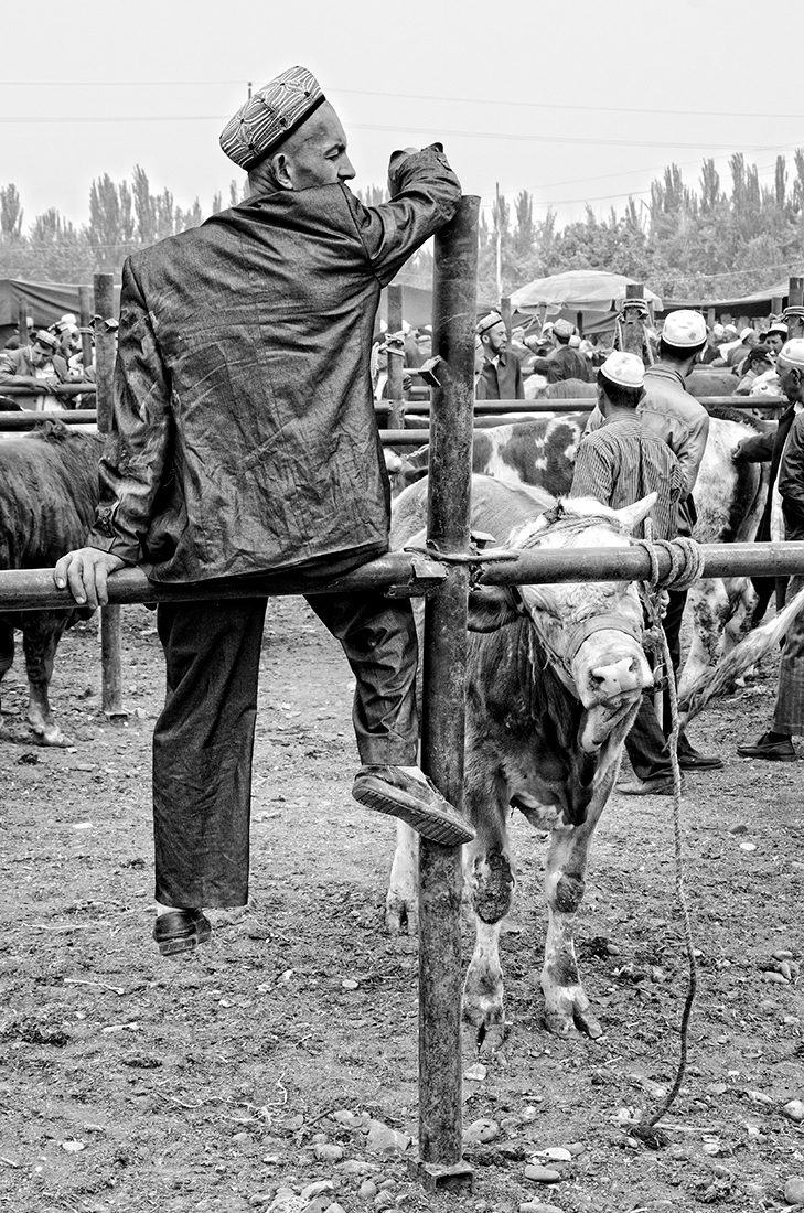 Kashgar Animal Market, China