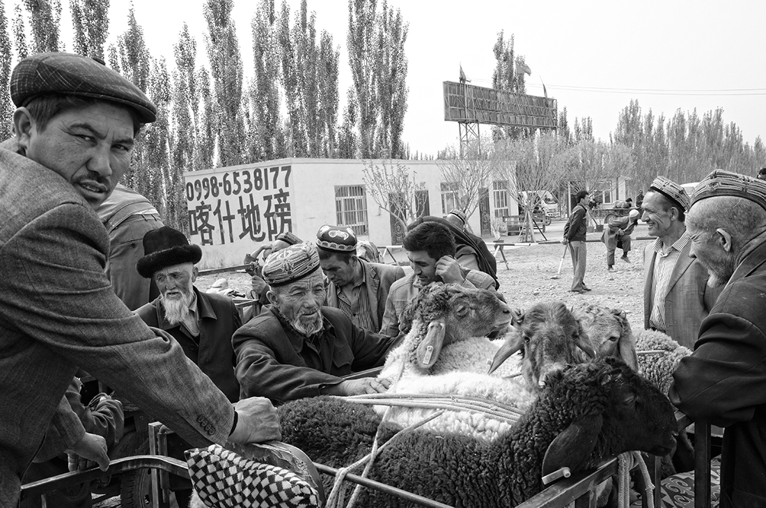 Kashgar Animal Market, China