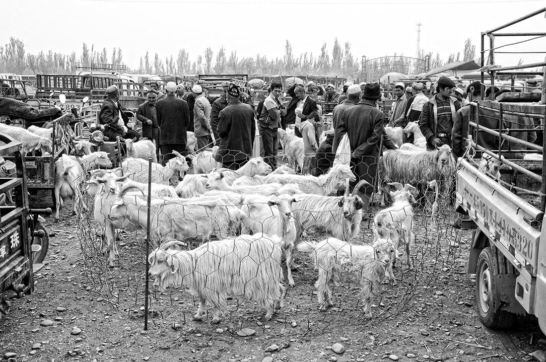 Kashgar Animal Market, China