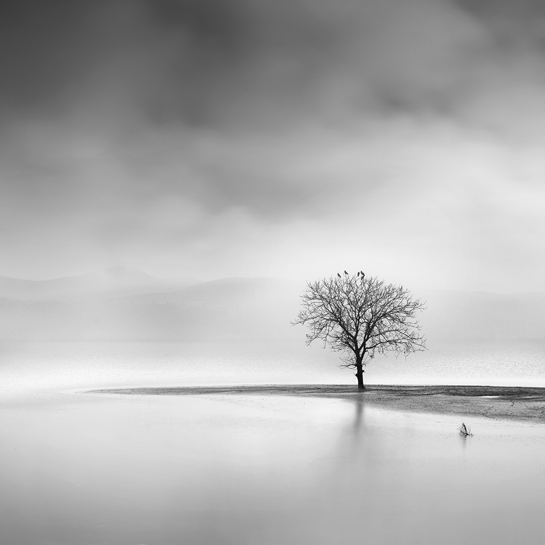 Silent Waters