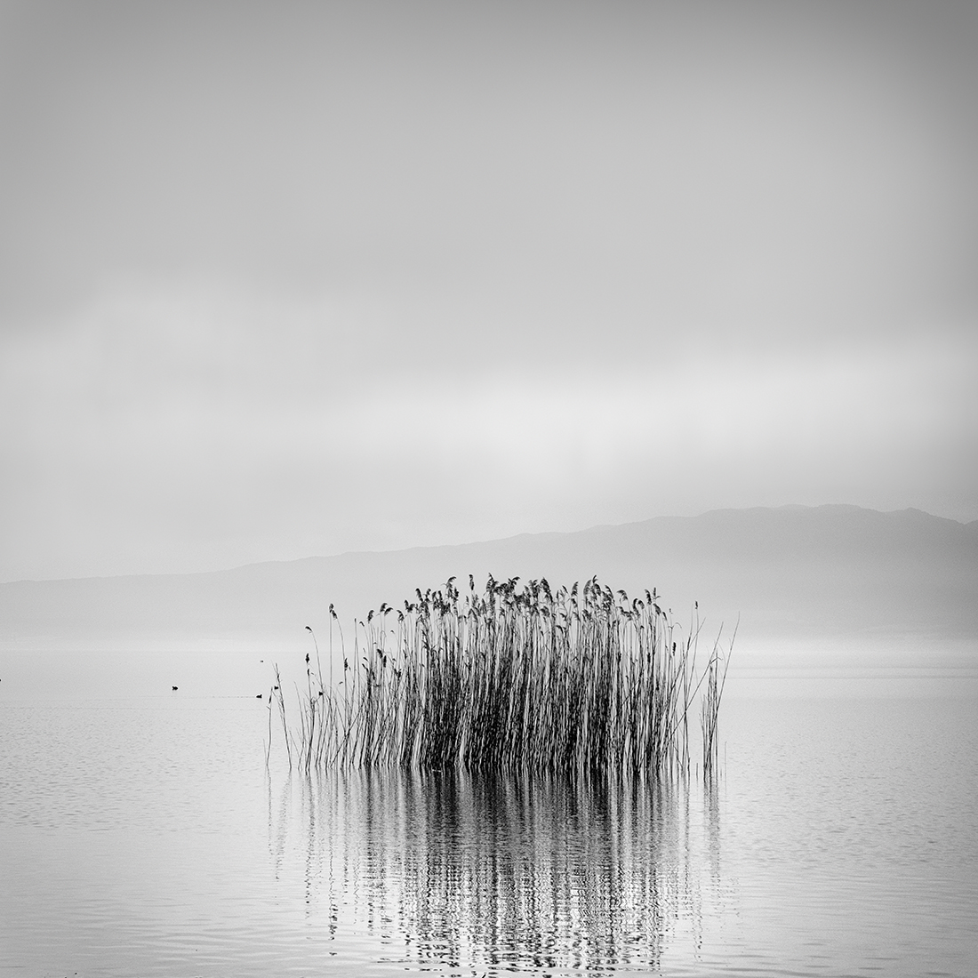 Silent Waters